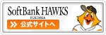 hawks_banner3.gif